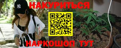 сатива Волгодонск