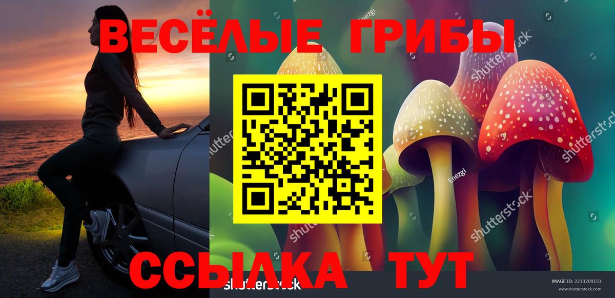 Дмитров  Галлюциногенные грибы GOLDEN TEACHER  Вход с VPN 