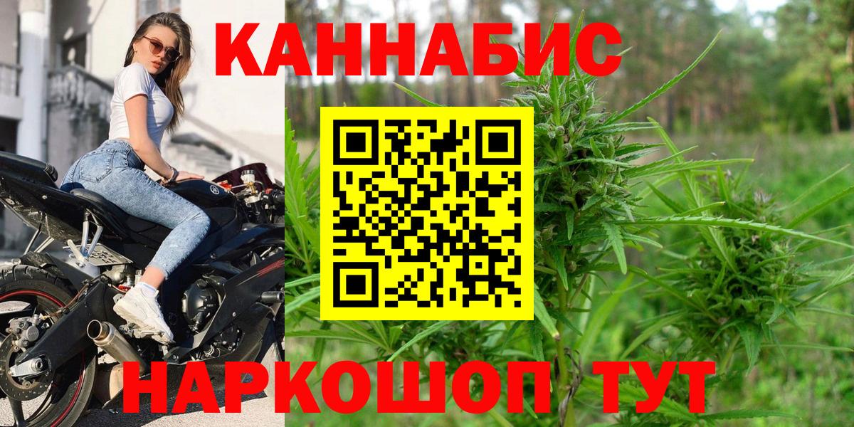 Каннабис OG Kush Дмитров